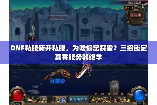 DNF私服新开私服，为啥你总踩雷？三招锁定真香服务器绝学