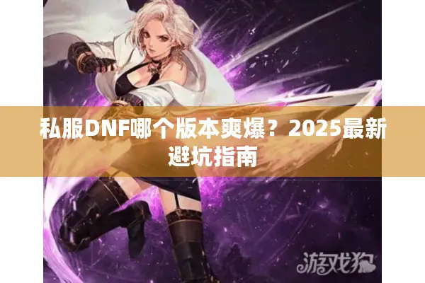 私服DNF哪个版本爽爆？2025最新避坑指南