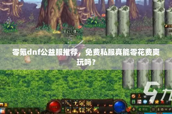 零氪dnf公益服推荐，免费私服真能零花费爽玩吗？