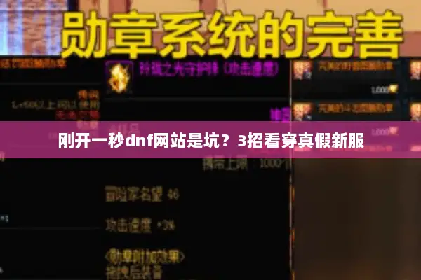 刚开一秒dnf网站是坑？3招看穿真假新服