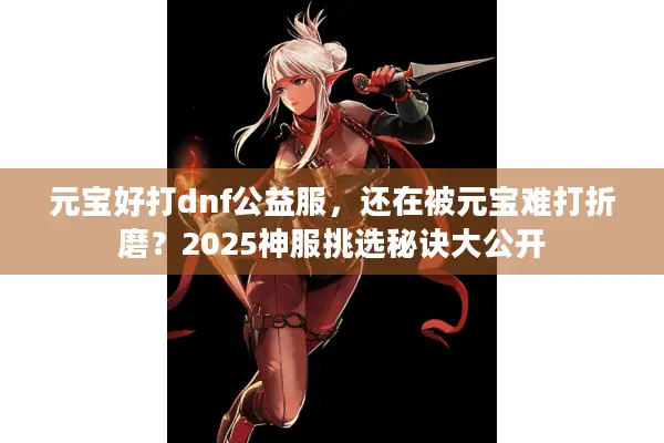 元宝好打dnf公益服，还在被元宝难打折磨？2025神服挑选秘诀大公开