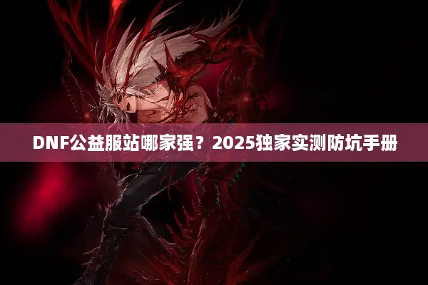 DNF公益服站哪家强？2025独家实测防坑手册