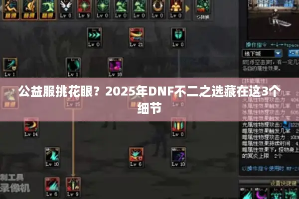 公益服挑花眼？2025年DNF不二之选藏在这3个细节