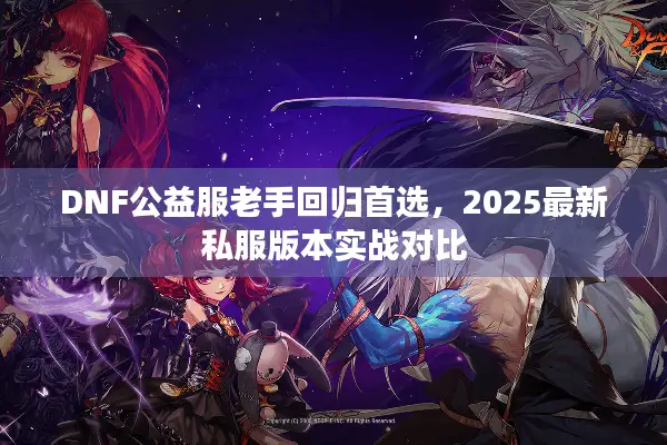 DNF公益服老手回归首选，2025最新私服版本实战对比