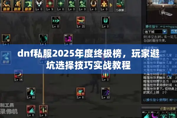 dnf私服2025年度终极榜，玩家避坑选择技巧实战教程