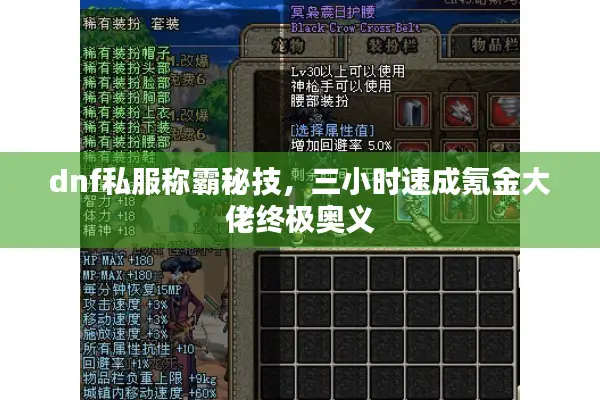 dnf私服称霸秘技，三小时速成氪金大佬终极奥义