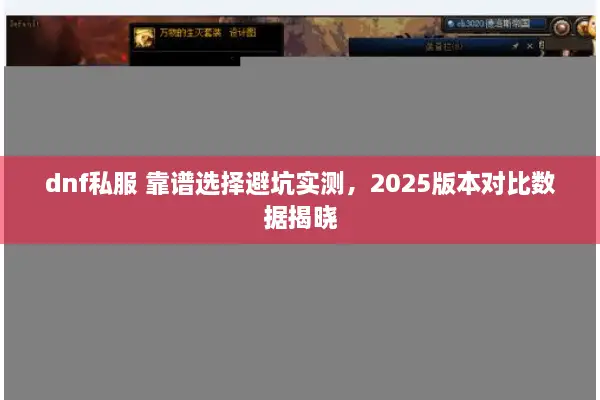 dnf私服 靠谱选择避坑实测，2025版本对比数据揭晓