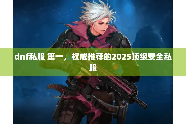 dnf私服 第一，权威推荐的2025顶级安全私服