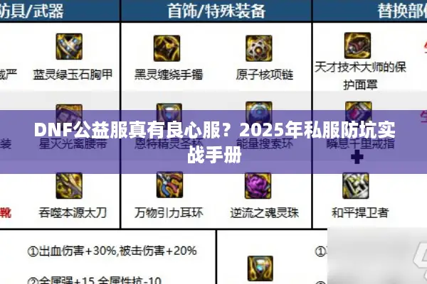 DNF公益服真有良心服？2025年私服防坑实战手册