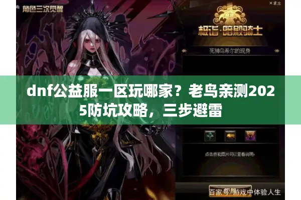 dnf公益服一区玩哪家？老鸟亲测2025防坑攻略，三步避雷