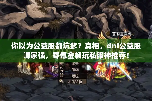 你以为公益服都坑爹？真相，dnf公益服哪家强，零氪金畅玩私服神推荐！