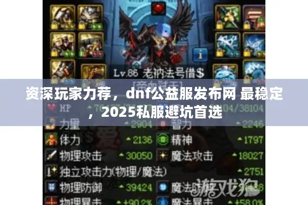 资深玩家力荐，dnf公益服发布网 最稳定，2025私服避坑首选