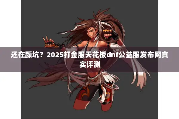 还在踩坑？2025打金服天花板dnf公益服发布网真实评测