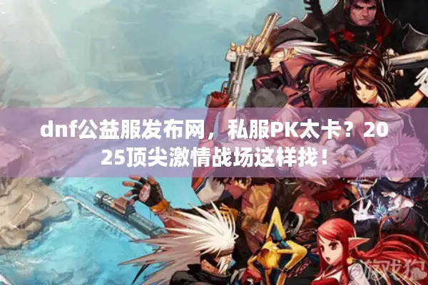 dnf公益服发布网，私服PK太卡？2025顶尖激情战场这样找！