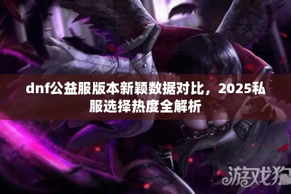 dnf公益服版本新颖数据对比，2025私服选择热度全解析