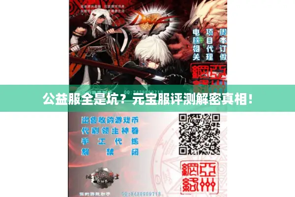 公益服全是坑？元宝服评测解密真相！