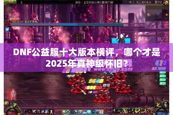 DNF公益服十大版本横评，哪个才是2025年真神级怀旧？