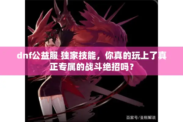 dnf公益服 独家技能，你真的玩上了真正专属的战斗绝招吗？