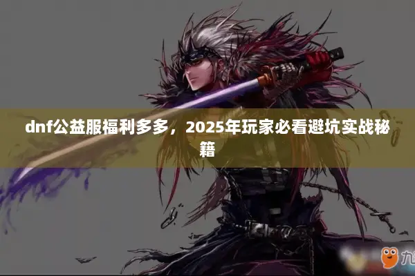 dnf公益服福利多多，2025年玩家必看避坑实战秘籍