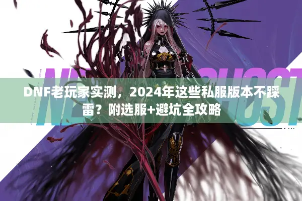 DNF老玩家实测，2024年这些私服版本不踩雷？附选服+避坑全攻略