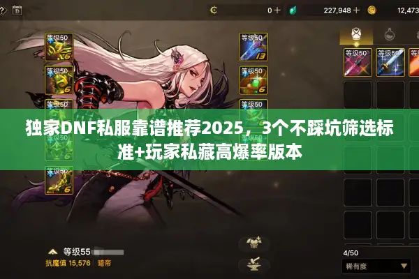 独家DNF私服靠谱推荐2025，3个不踩坑筛选标准+玩家私藏高爆率版本