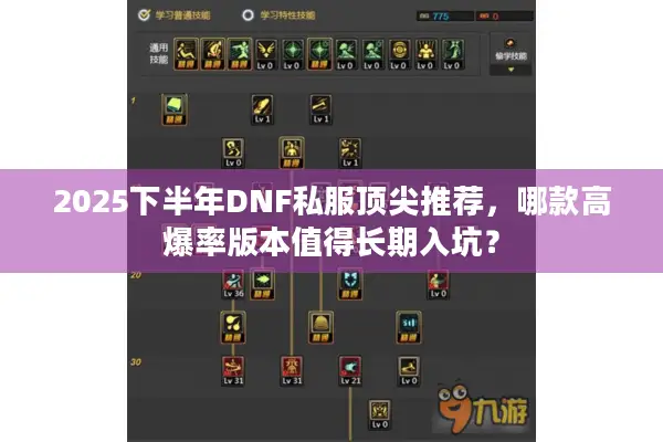 2025下半年DNF私服顶尖推荐，哪款高爆率版本值得长期入坑？