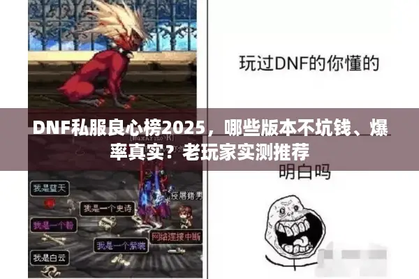 DNF私服良心榜2025，哪些版本不坑钱、爆率真实？老玩家实测推荐