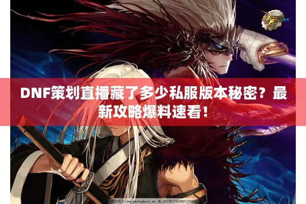 DNF策划直播藏了多少私服版本秘密？最新攻略爆料速看！