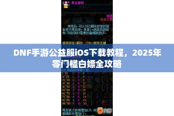 DNF手游公益服iOS下载教程，2025年零门槛白嫖全攻略