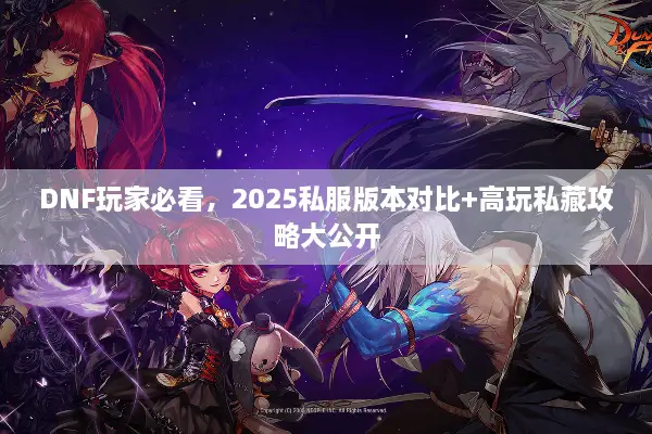 DNF玩家必看，2025私服版本对比+高玩私藏攻略大公开
