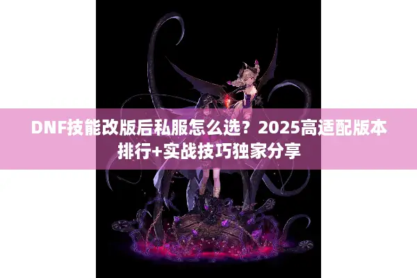 DNF技能改版后私服怎么选？2025高适配版本排行+实战技巧独家分享
