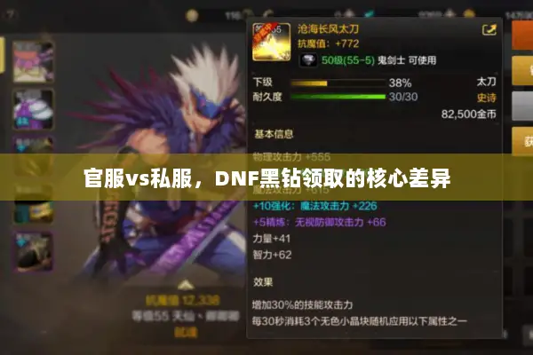 官服vs私服，DNF黑钻领取的核心差异