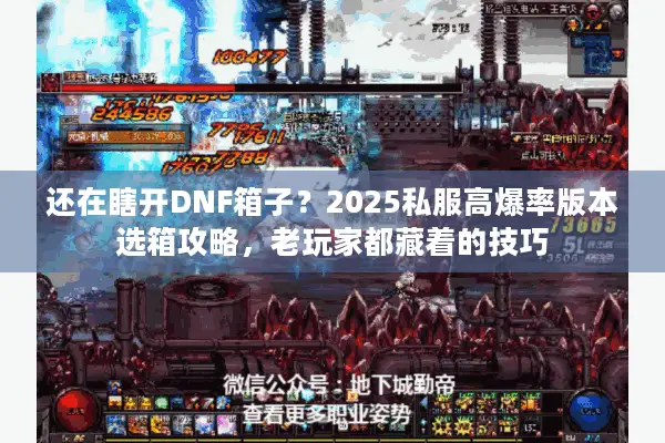 还在瞎开DNF箱子？2025私服高爆率版本选箱攻略，老玩家都藏着的技巧