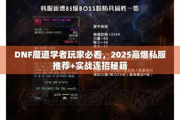 DNF魔道学者玩家必看，2025高爆私服推荐+实战连招秘籍