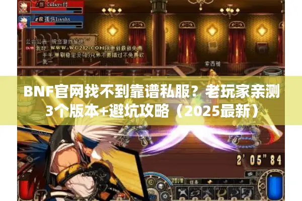 BNF官网找不到靠谱私服？老玩家亲测3个版本+避坑攻略（2025最新）