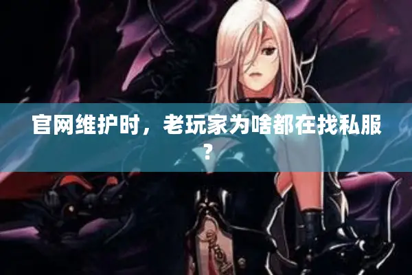 官网维护时，老玩家为啥都在找私服？
