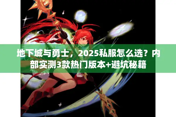地下城与勇士，2025私服怎么选？内部实测3款热门版本+避坑秘籍
