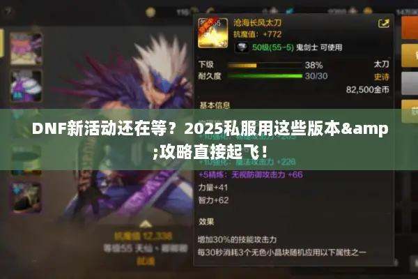 DNF新活动还在等？2025私服用这些版本&攻略直接起飞！