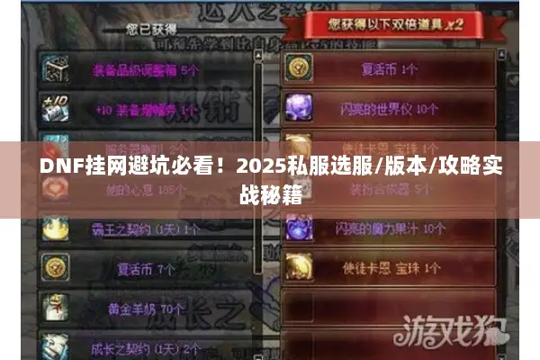DNF挂网避坑必看！2025私服选服/版本/攻略实战秘籍