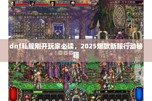 dnf私服刚开玩家必读，2025爆款新服行动秘籍