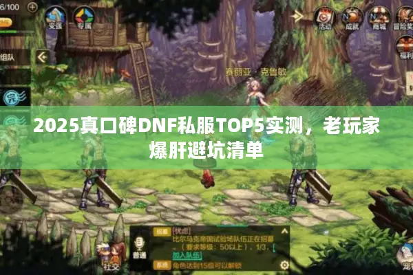 2025真口碑DNF私服TOP5实测，老玩家爆肝避坑清单
