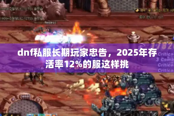 dnf私服长期玩家忠告，2025年存活率12%的服这样挑