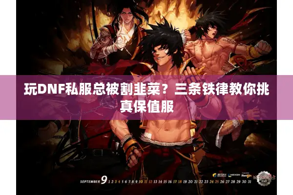 玩DNF私服总被割韭菜？三条铁律教你挑真保值服