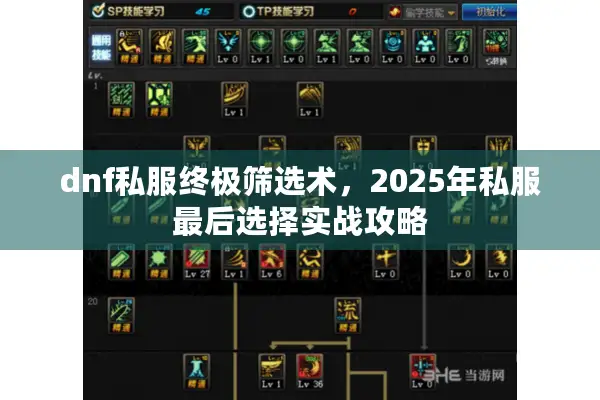 dnf私服终极筛选术，2025年私服最后选择实战攻略
