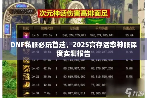 DNF私服必玩首选，2025高存活率神服深度实测报告