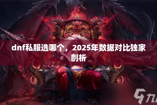 dnf私服选哪个，2025年数据对比独家剖析