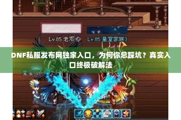 DNF私服发布网独家入口，为何你总踩坑？真实入口终极破解法