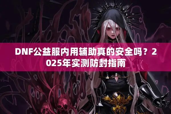 DNF公益服内用辅助真的安全吗？2025年实测防封指南