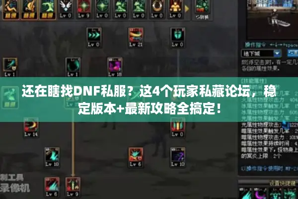 还在瞎找DNF私服？这4个玩家私藏论坛，稳定版本+最新攻略全搞定！