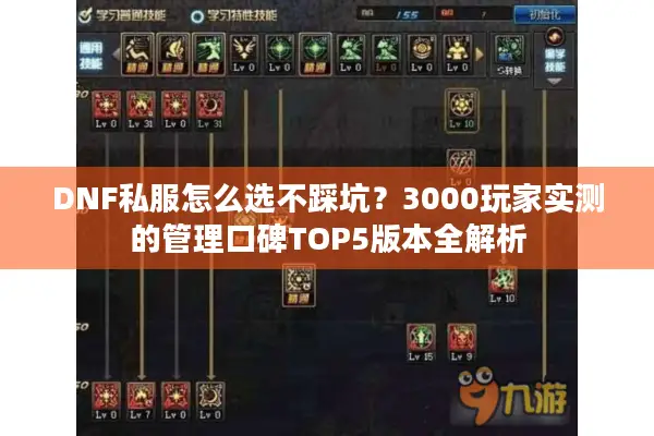 DNF私服怎么选不踩坑？3000玩家实测的管理口碑TOP5版本全解析